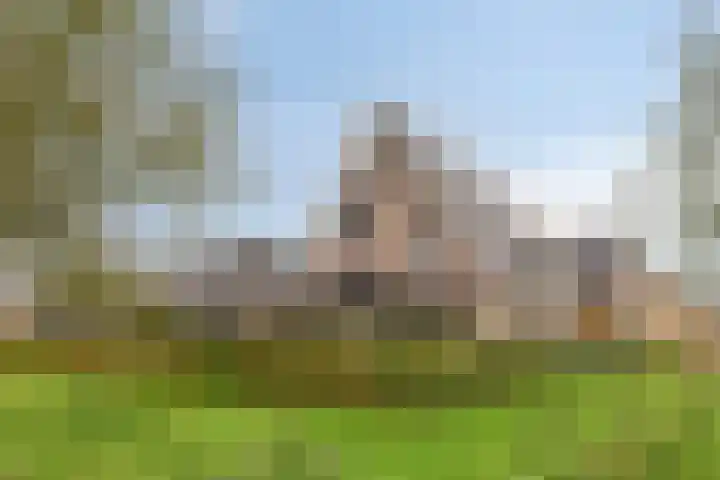 Runmolen 13 Zwolle thumbnail 38