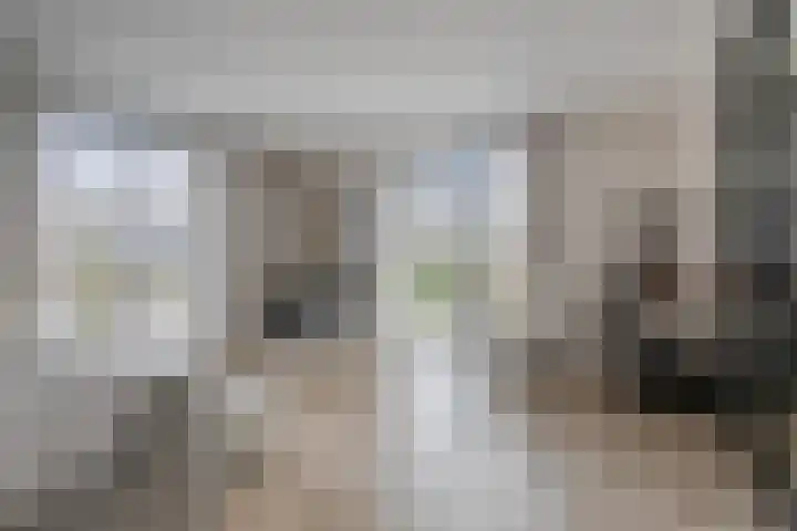 Runmolen 13 Zwolle thumbnail 4