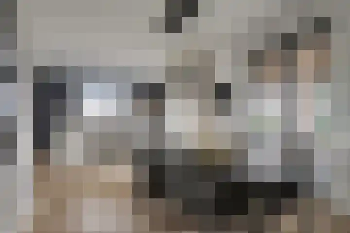 Runmolen 13 Zwolle thumbnail 6