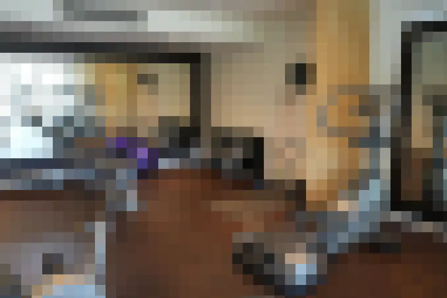 Runmolen 44 Uden thumbnail 29