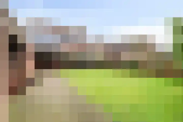 Runrotstraat 5 Geffen thumbnail 14