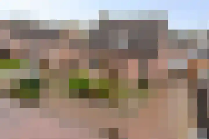 Runrotstraat 5 Geffen thumbnail 26