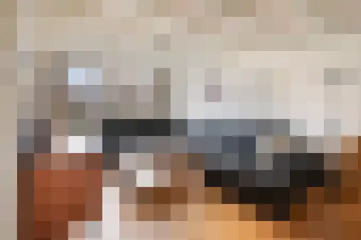 Runrotstraat 5 Geffen thumbnail 4