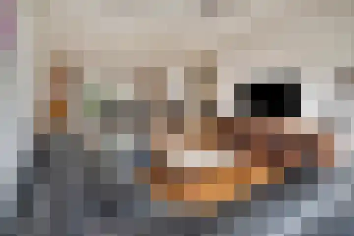 Runrotstraat 5 Geffen thumbnail 5