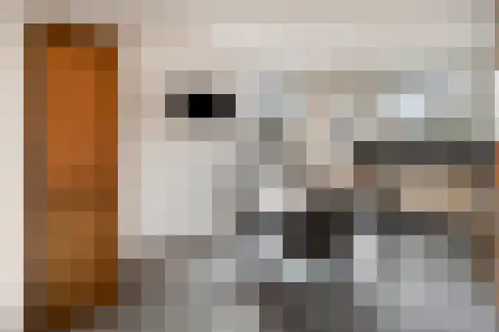 Runrotstraat 5 Geffen thumbnail 8
