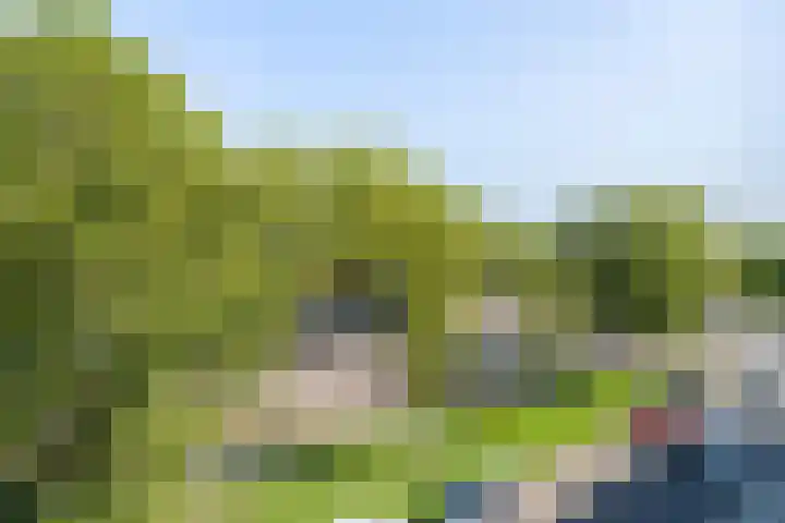 Runweg 4 H Berlicum thumbnail 11