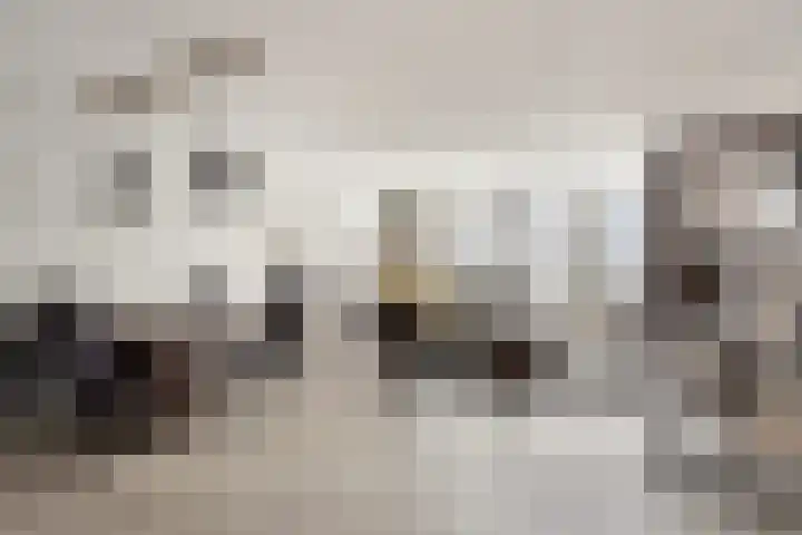Runweg 4 H Berlicum thumbnail 13