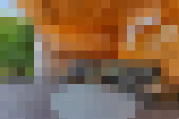Runweg 4 H Berlicum thumbnail 15
