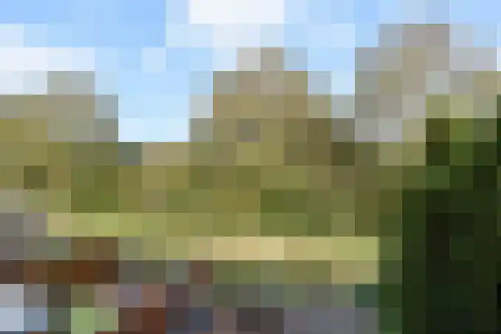 Runweg 4 H Berlicum thumbnail 7