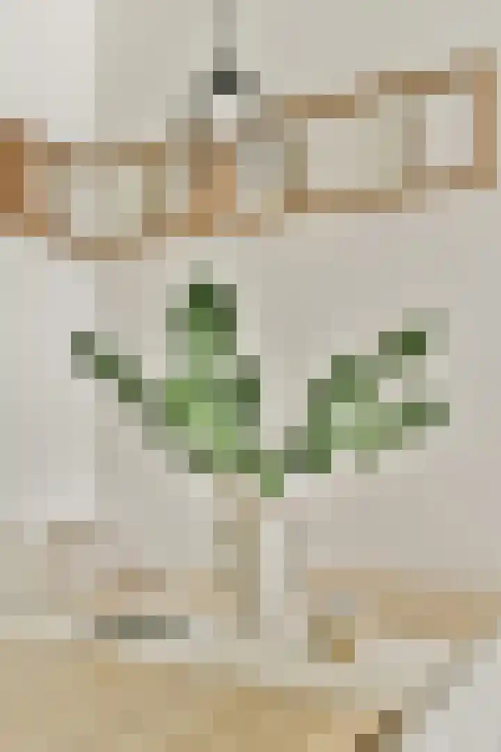 Rupelmonde 76 Amsterdam thumbnail 6