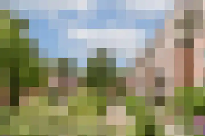 Rupelmonde 76 Amsterdam thumbnail 9