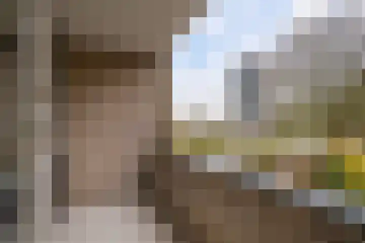 Rupelmondestraat 9 Arnhem thumbnail 25