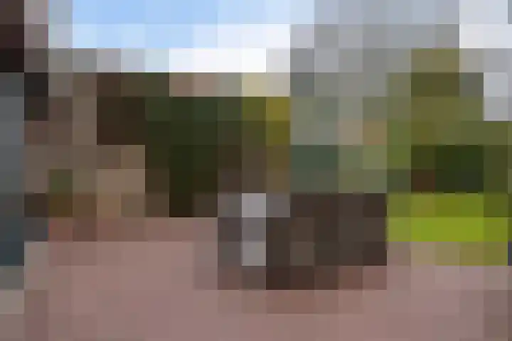 Rupelmondestraat 9 Arnhem thumbnail 5