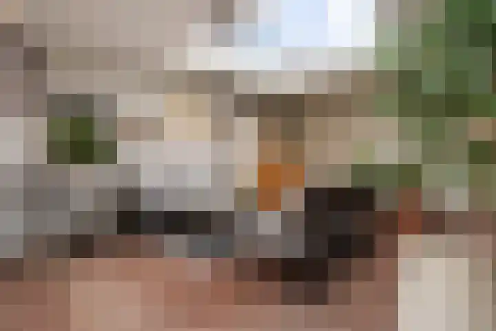 Rupelmondestraat 9 Arnhem thumbnail 7