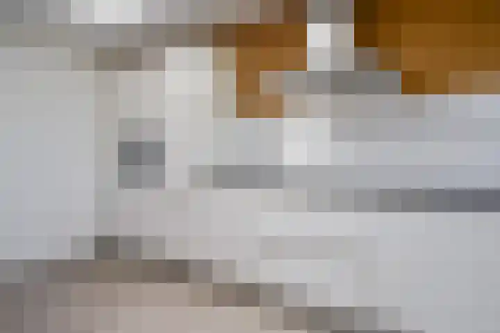 Rupperink 7 Delden thumbnail 13
