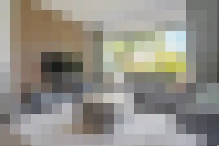 Rupperink 7 Delden thumbnail 18