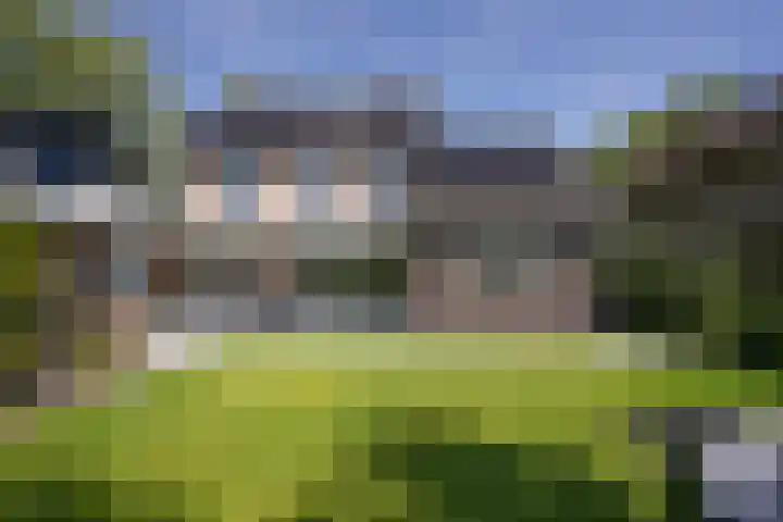 Rupperink 7 Delden thumbnail 49