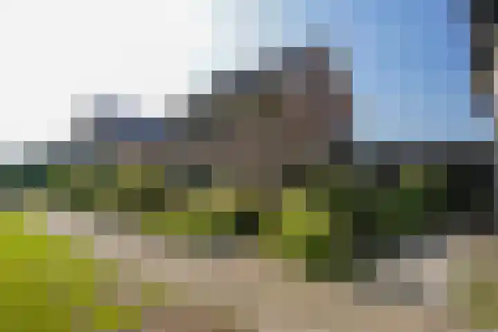 Rupperink 7 Delden thumbnail 52