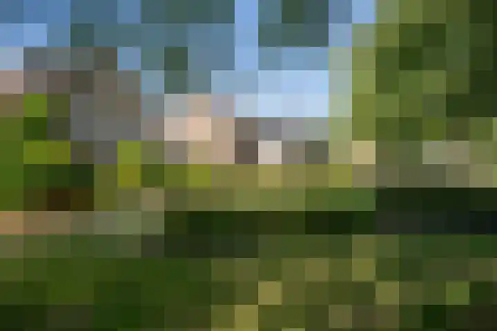 Rupperink 7 Delden thumbnail 54