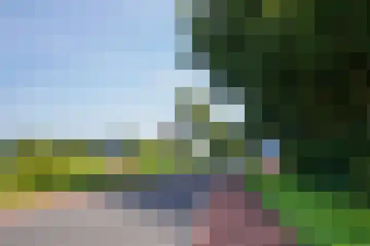 Rupperink 7 Delden thumbnail 55