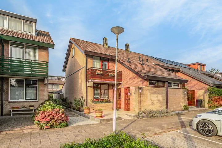 Rupsklaver 32 in Rotterdam foto