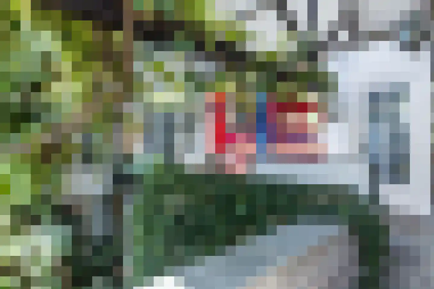 Ruscher 1 Schinveld thumbnail 20