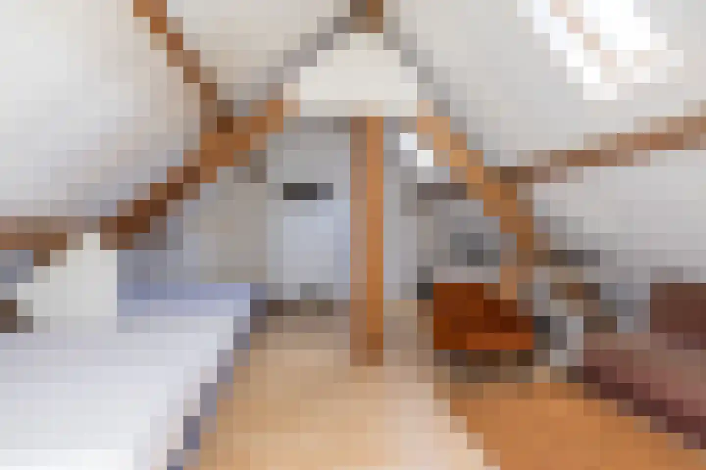 Ruscher 1 Schinveld thumbnail 27