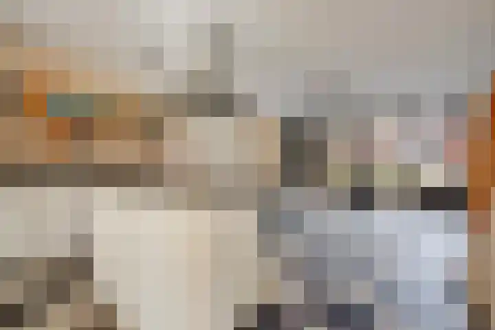 Ruseschans 27 Zoetermeer thumbnail 13
