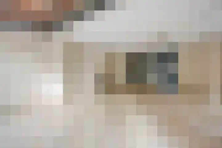 Ruseschans 27 Zoetermeer thumbnail 28