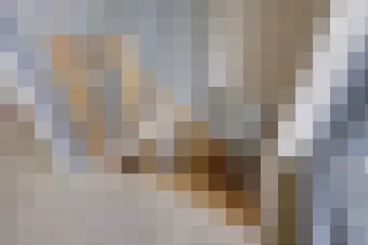 Ruseschans 27 Zoetermeer thumbnail 31