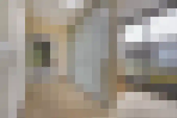 Ruseschans 27 Zoetermeer thumbnail 32