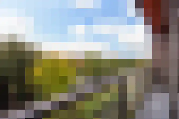 Ruseschans 27 Zoetermeer thumbnail 43