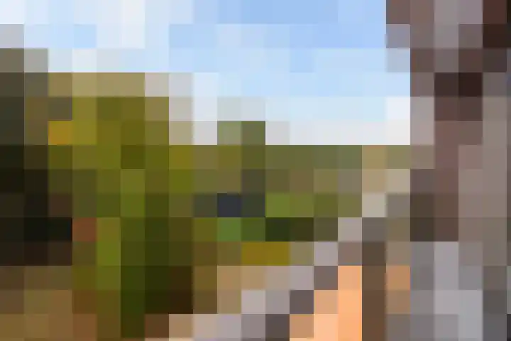 Ruseschans 27 Zoetermeer thumbnail 58