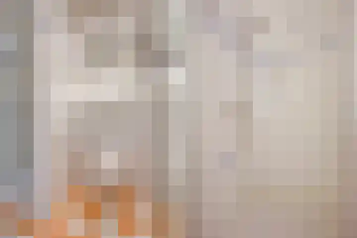 Ruseschans 27 Zoetermeer thumbnail 67