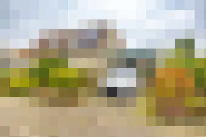 Ruskenstukken 19 Eelde