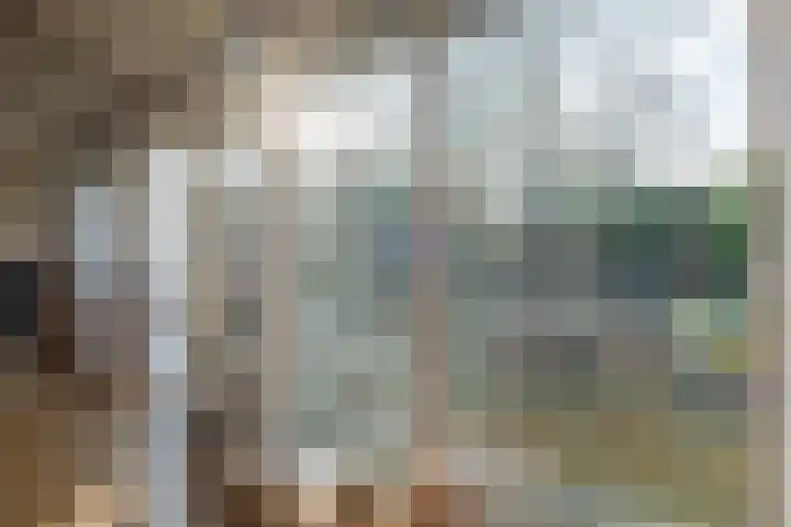 Ruskkamp 2 Westerbork thumbnail 16