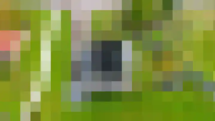 Ruskkamp 2 Westerbork thumbnail 19