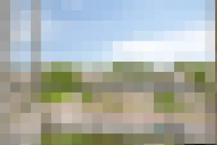 Ruskkamp 2 Westerbork thumbnail 20