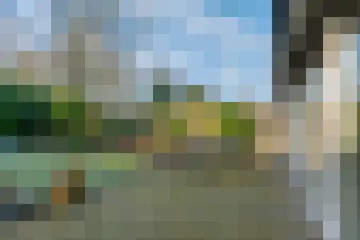 Ruskkamp 2 Westerbork thumbnail 31