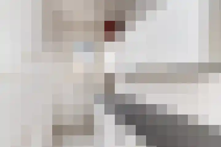 Ruskkamp 2 Westerbork thumbnail 57