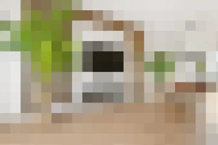 Ruslandkade 34 Almere thumbnail 13
