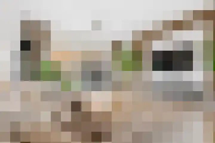Ruslandkade 34 Almere thumbnail 14