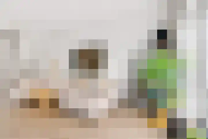 Ruslandkade 34 Almere thumbnail 8