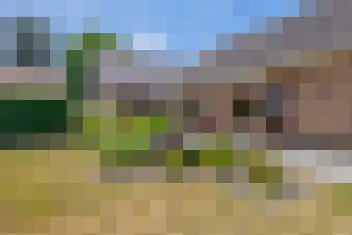 Rustburg 26 Ouddorp thumbnail 27