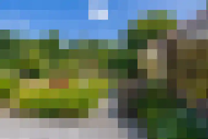 Rustburg 26 Ouddorp thumbnail 30