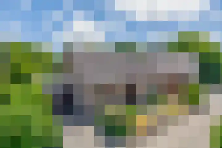 Rustburg 26 Ouddorp thumbnail 40