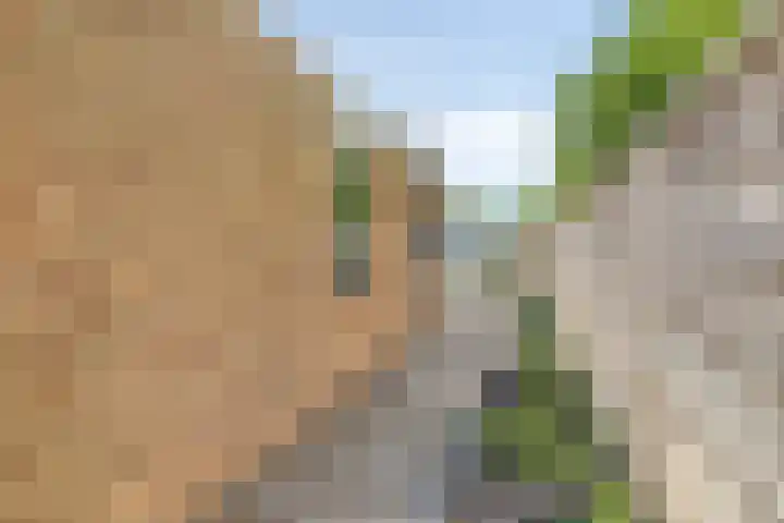 Rustburg 52 Ouddorp thumbnail 32