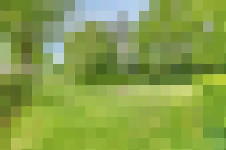 Rustburg 52 Ouddorp thumbnail 36