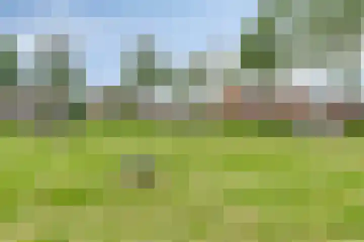 Rustburg 52 Ouddorp thumbnail 37