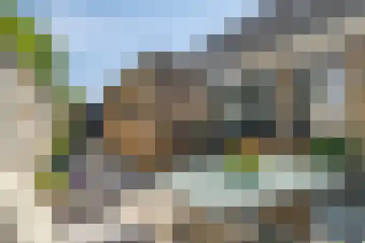 Rustburg 52 Ouddorp thumbnail 4